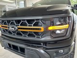 New 2025 Ford F150 Tremor image 2