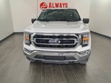 Used 2022 Ford F150 XLT w/ Equipment Group 302A High image 2