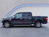 Certified 2023 Ford F150 Lariat image 3