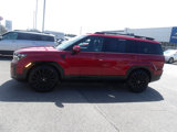 Used 2025 Hyundai Santa Fe Calligraphy image 4