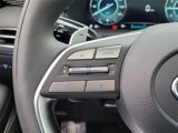 New 2025 Hyundai Palisade Calligraphy image 4