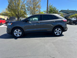 Used 2020 Ford Edge SE w/ Cargo Accessory Package image 5
