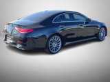 Used 2019 Mercedes-Benz CLS 450 4MATIC image 6
