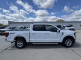 New 2025 Ford F150 XLT image 3