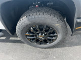 New 2025 Chevrolet Silverado 2500 LTZ w/ Trail Boss Package image 2