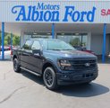 New 2025 Ford F150 XLT w/ Equipment Group 302A MID image 3