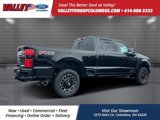 New 2025 Ford F250 Platinum image 4