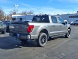 New 2025 Ford F150 STX w/ STX Black Appearance Package image 3