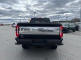 New 2025 Ford F250 King Ranch image 4