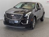 Used 2022 Cadillac XT5 Premium Luxury image 4