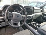 Certified 2023 Ford F150 XLT w/ Equipment Group 302A High image 4
