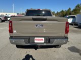New 2025 Ford F150 XLT w/ Equipment Group 301A Standard image 4