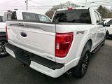 Certified 2022 Ford F150 XLT w/ Equipment Group 302A High image 3