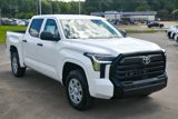 New 2025 Toyota Tundra SR image 6
