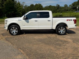 Used 2015 Ford F150 Platinum w/ Equipment Group 701A Luxury image 2