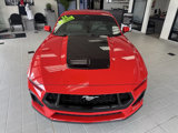 Used 2024 Ford Mustang GT Premium image 6