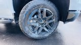 New 2025 Chevrolet Silverado 1500 Custom Trail Boss w/ Turbomax Blackout Package image 4