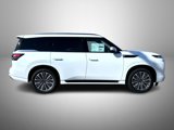 New 2025 INFINITI QX80 Sensory image 4
