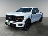 New 2025 Ford F150 STX image 3