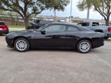 New 2025 Dodge Charger R/T w/ Quick Order Package 25M R/T image 4
