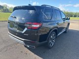 New 2025 Honda Pilot Touring image 3