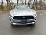 Used 2021 Ford Mustang GT Premium w/ Equipment Group 401A image 4