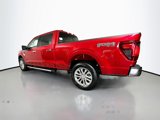 New 2025 Ford F150 XLT image 4