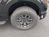 New 2025 Ford F150 Tremor image 6