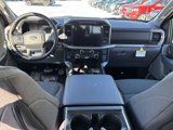 New 2025 Ford F150 XLT w/ Equipment Group 302A MID image 5