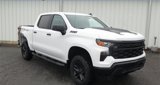 New 2025 Chevrolet Silverado 1500 Custom Trail Boss w/ Realtree Special Edition image 2