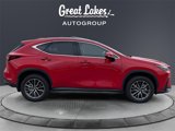 Used 2025 Lexus NX 300h AWD w/ Luxury Package image 6