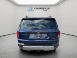 New 2026 Honda Passport TrailSport image 3