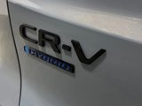 New 2026 Honda CR-V Sport-L image 5
