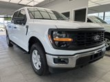 New 2025 Ford F150 XL w/ Equipment Group 103A High image 2