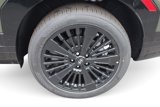 New 2025 Hyundai Santa Fe Calligraphy image 5