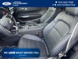 New 2025 Ford Mustang GT Premium image 3