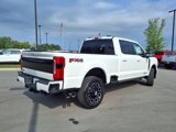 New 2025 Ford F250 Platinum image 3