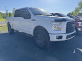Used 2017 Ford F150 XLT w/ Equipment Group 302A Luxury image 3