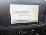 New 2025 Ford F250 Platinum image 4