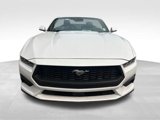 Used 2024 Ford Mustang Premium image 2