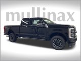 New 2025 Ford F250 Platinum image 2