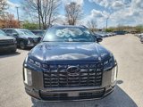 New 2025 Hyundai Palisade Calligraphy image 4