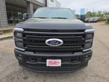 New 2025 Ford F250 Platinum image 2