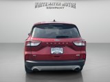 Used 2020 Ford Escape SE image 4