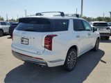 New 2025 Hyundai Palisade Calligraphy image 5