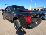 New 2025 Ford F150 STX w/ STX Black Appearance Package image 3