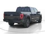 Used 2023 Ford F150 XLT w/ Equipment Group 302A High image 4