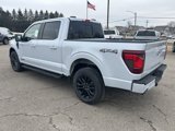 New 2025 Ford F150 XLT w/ Equipment Group 302A MID image 3