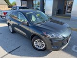 Certified 2022 Ford Escape SE image 2