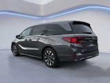 New 2025 Honda Odyssey Elite image 4